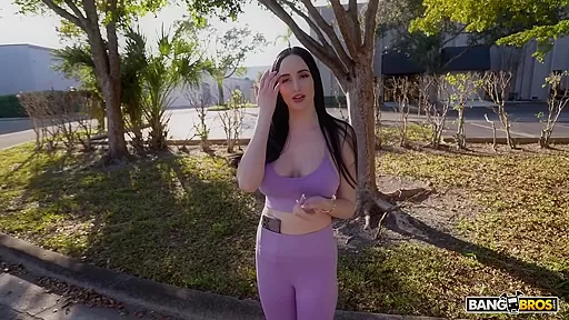 Bang Bus In Roses Are Red Violets Are Voss