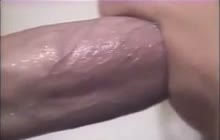 Hot Bitches In This American Classic