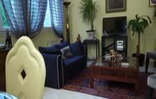 Perfect French Cougar First Tape