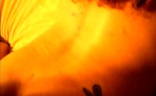 Hardcore Amateur Fucking And Cumming On Big Ass Milfs