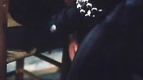 American Desire 1981