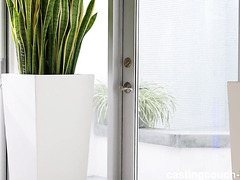 A Big Boobed Latina Gets A Big Black Dick Right At The Casting.