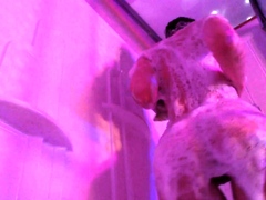 Amateur Striptease And Solo Masturbation