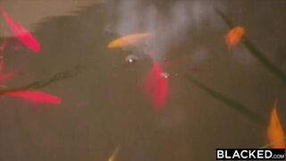 BLACKED This Babe Just Wanted To Meet Him But Couldn%27t Resist His BBC