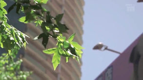 Anri Okita Bondage Sex