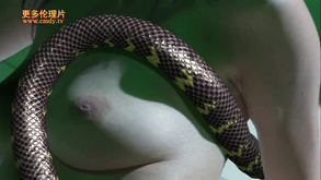 Hot Film With Sex Japanese Actresses