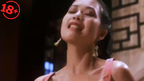 A Chinese Torture Chamber Story