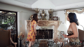 European Antique Bargain 1 Share My Bf