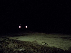 Vinegarsyndrome.com Hot Summer In The City Vsdirect