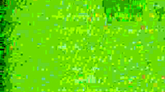 In This Anime Hospital All Nurses Are Horny Sluts