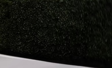 Perky Amateur Rides And Sucks Black Dick Pov Style