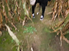 Curly Whore Wants Me To Gape Her Anal Outdoors   Amateur POV