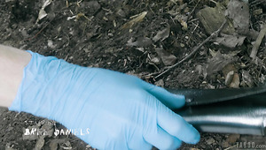 Amazing Bree Daniels Definitely Loves Some Sensual Intercourse Outdoors